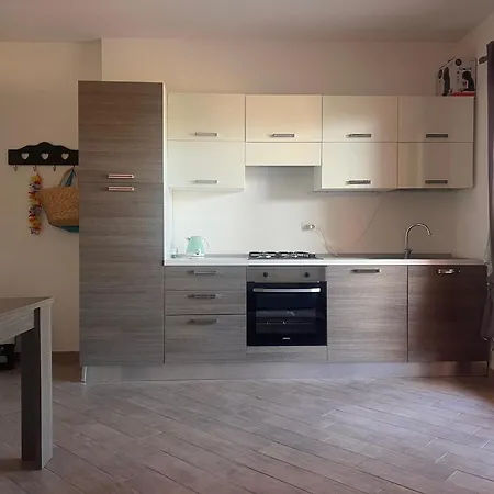 Apartment Magnolia House